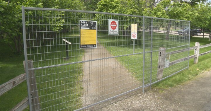 Районът с овощни градини в парка Gellatly Nut Farm в Келоуна се затваря за сезона на сърнитите елени