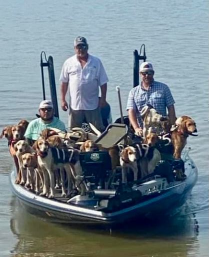 fishermen rescue 38 dogs on the verge of drowning from mississippi lake