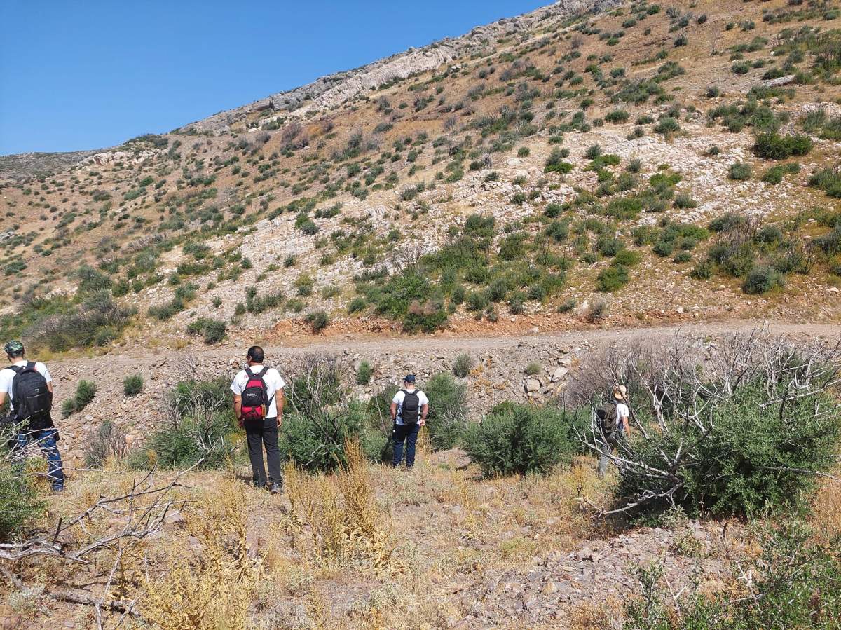 Rescuers stand on scorched, dry ground.