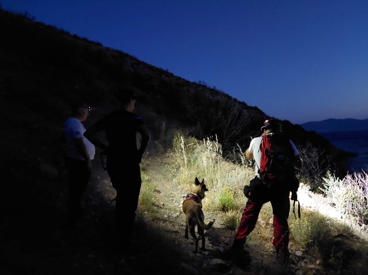 Rescuers and a dog search in the dark with a flashlight.