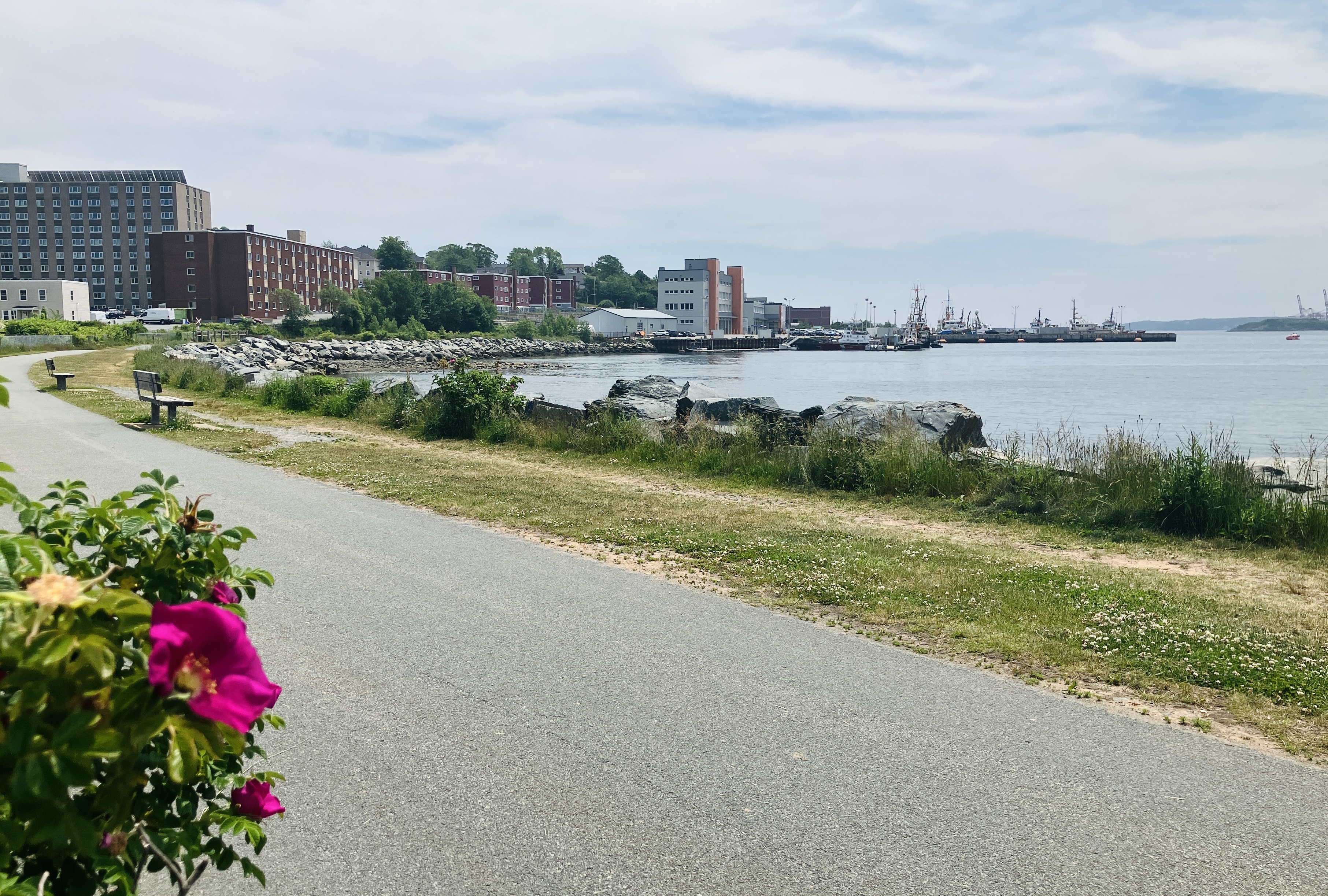 Nova Scotia approves Halifax bylaw restricting Dartmouth Cove infilling