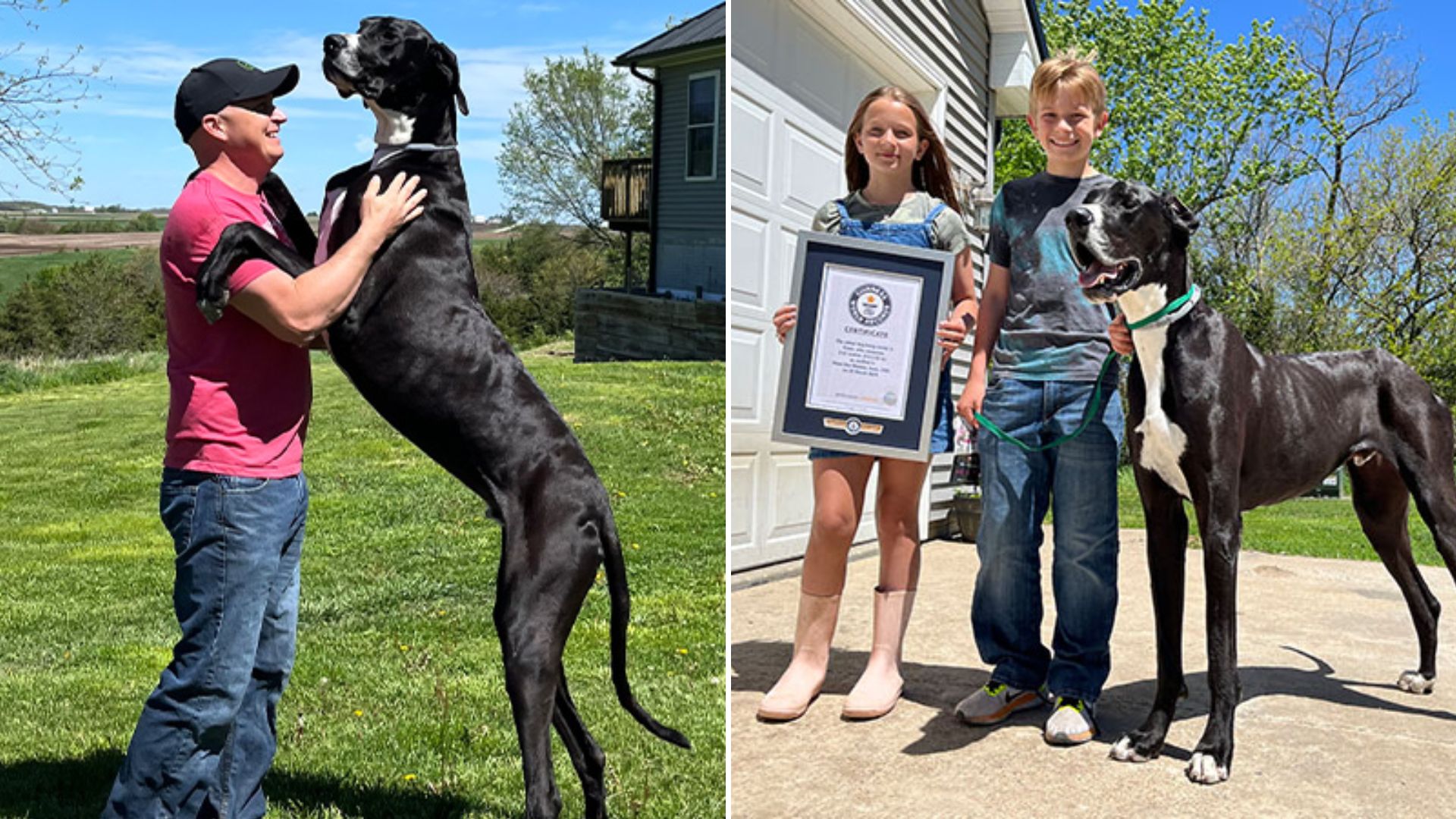 Само седмици след като постигна международно признание с титлата си