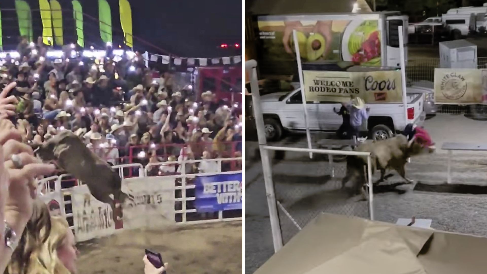 ЗАБЕЛЕЖКА Видеото по горе съдържа кадри с насилие на нападащ бик