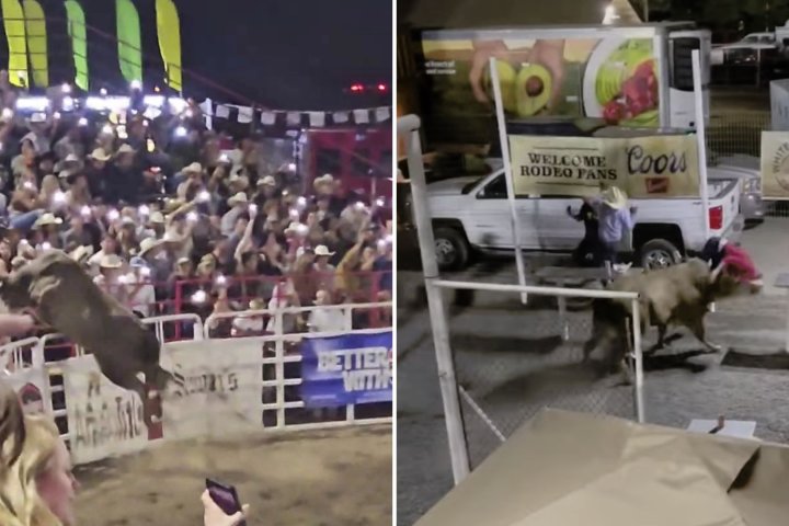 Shocking video captures rodeo bull jumping fence, injuring spectators
