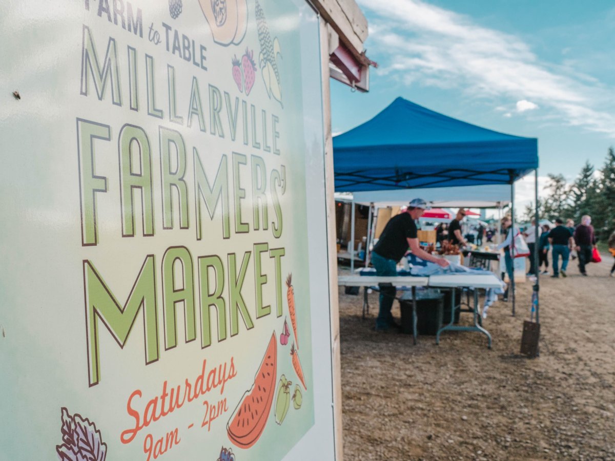 Millarville Farmer’s Market - image