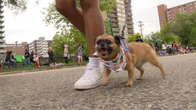 In Photos: Saskatoon Pride Parade showcases solidarity with LGBTQ2 community