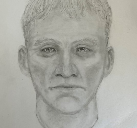 Police have released a sketch of the suspect believed to be behind an attempted sexual assault at a popular Kelowna walking trail.