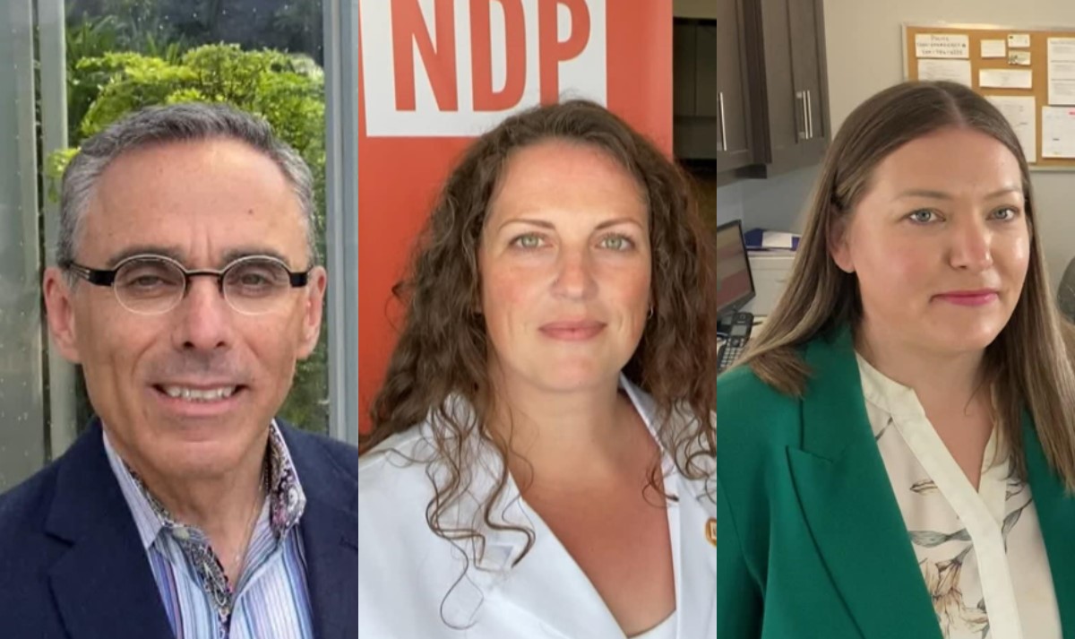 Candidates Lawrency Pinsky (Progressive Conservative), Carla Compton (NDP), and Jamie Pfau (Liberal) spoke with Global News about their campaigns for the upcoming Tuxedo byelection. 