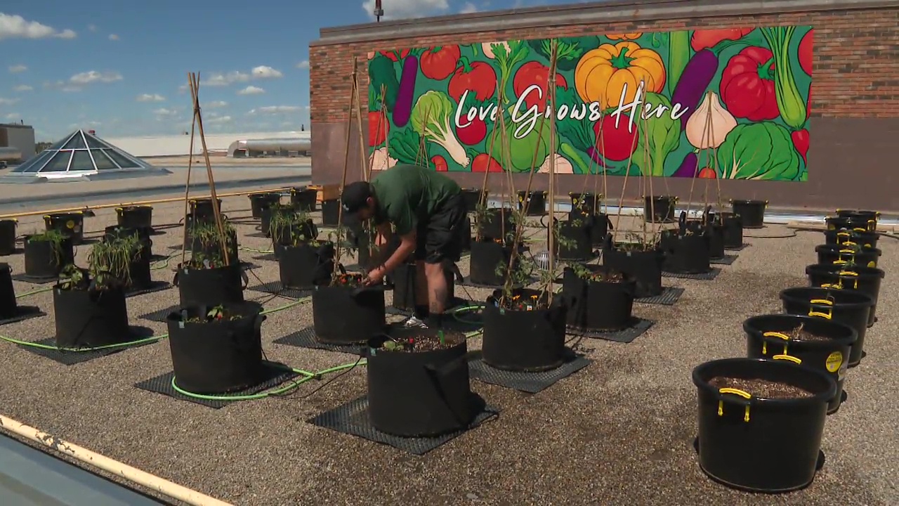 Kingsway Mall разшири градината си на покрива с цел да