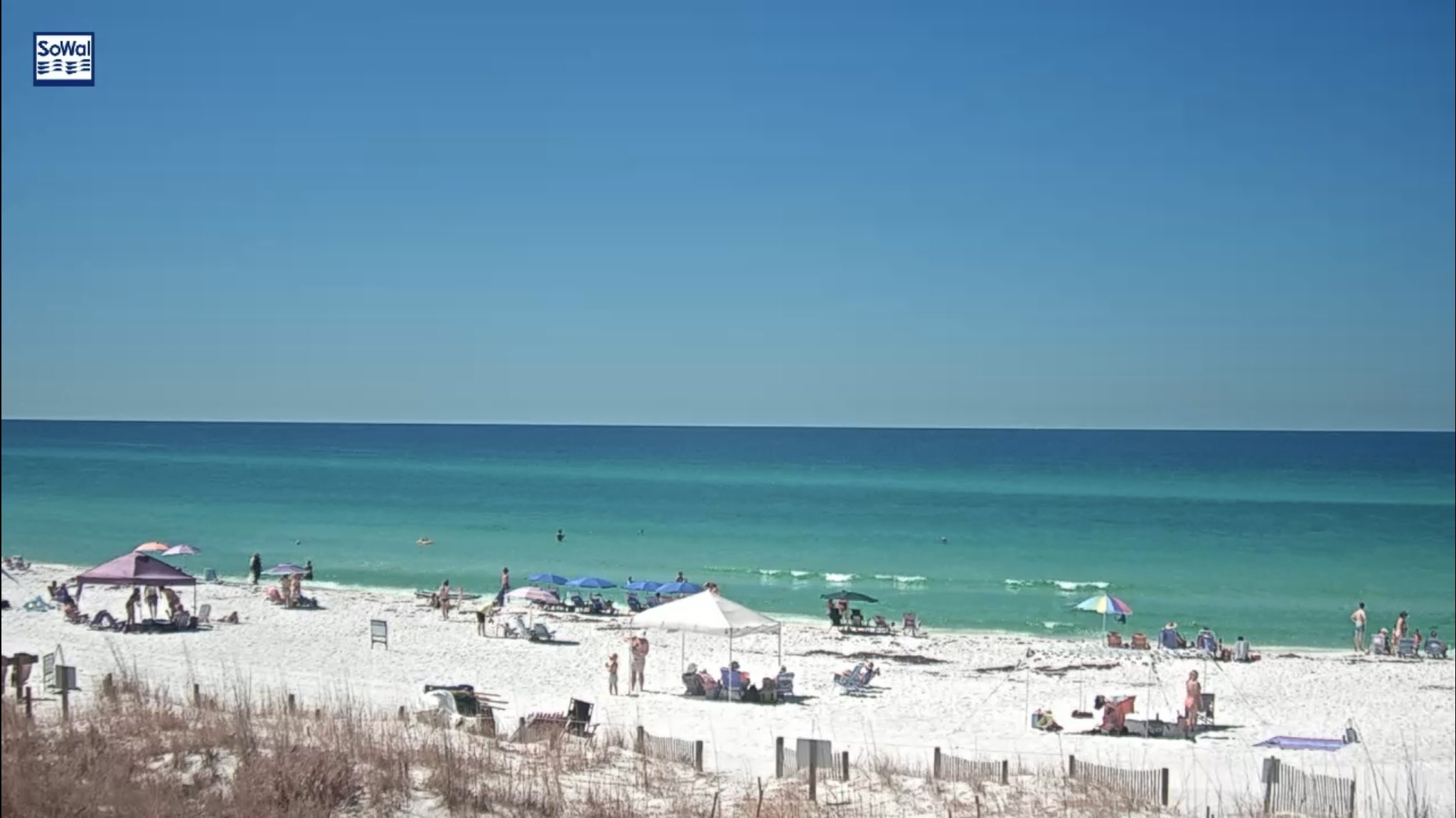 На плажуващите по крайбрежието на Персийския залив във Флорида беше