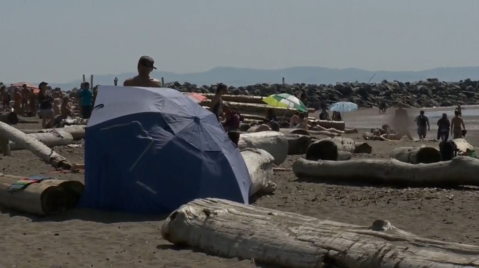 'Unwanted onlookers': Wreck Beach petition aims to have large logs returned - BC - Vimarsana News