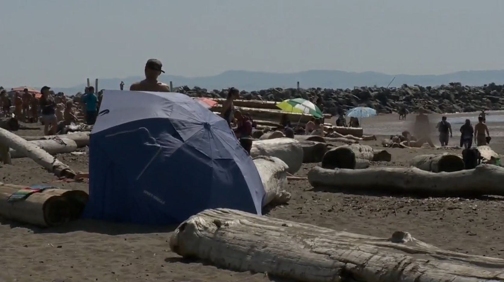 ‘Unwanted onlookers’: Wreck Beach petition aims to have large logs returned