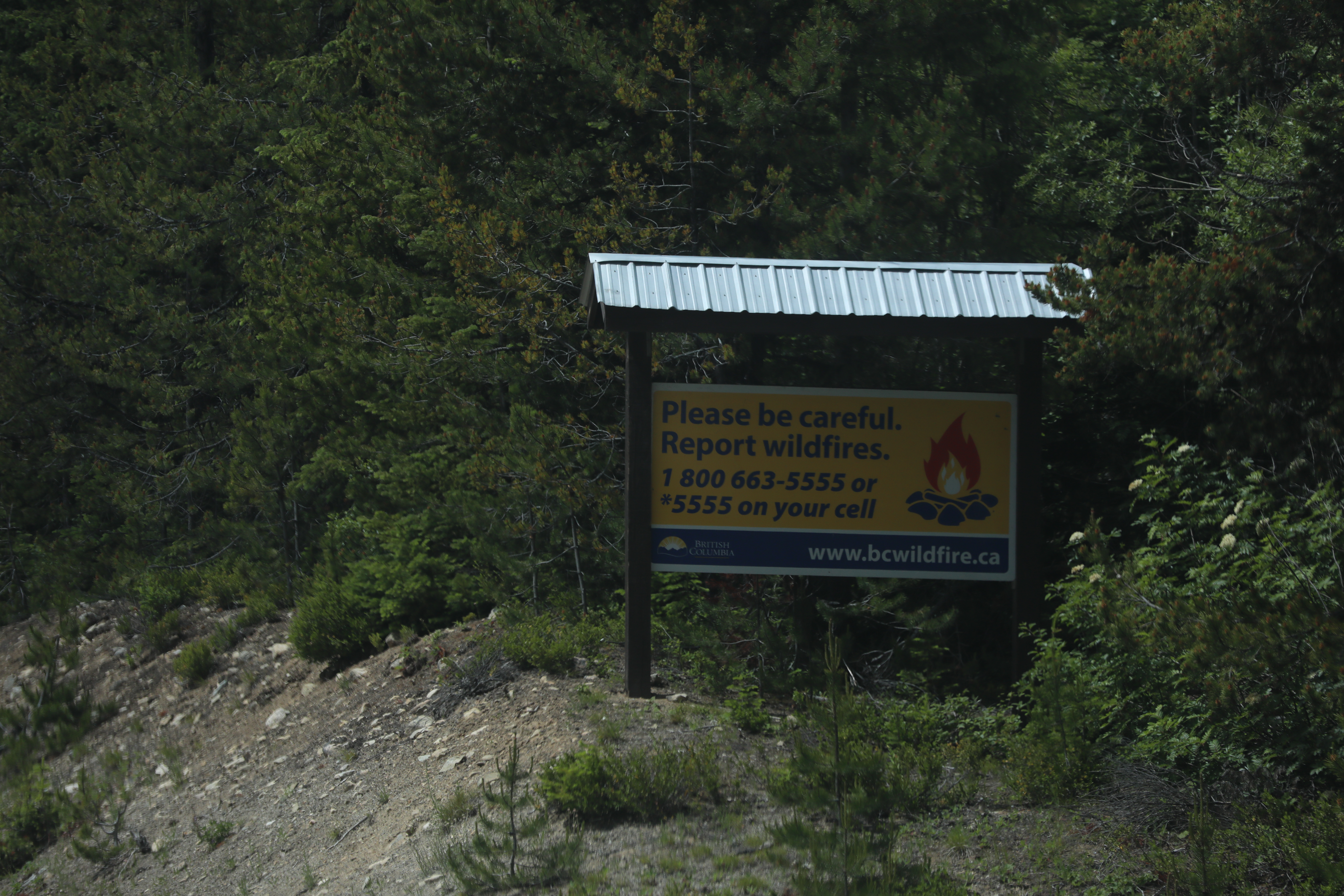 Дългият период от рекордна жега съчетан с прогноза за сухи