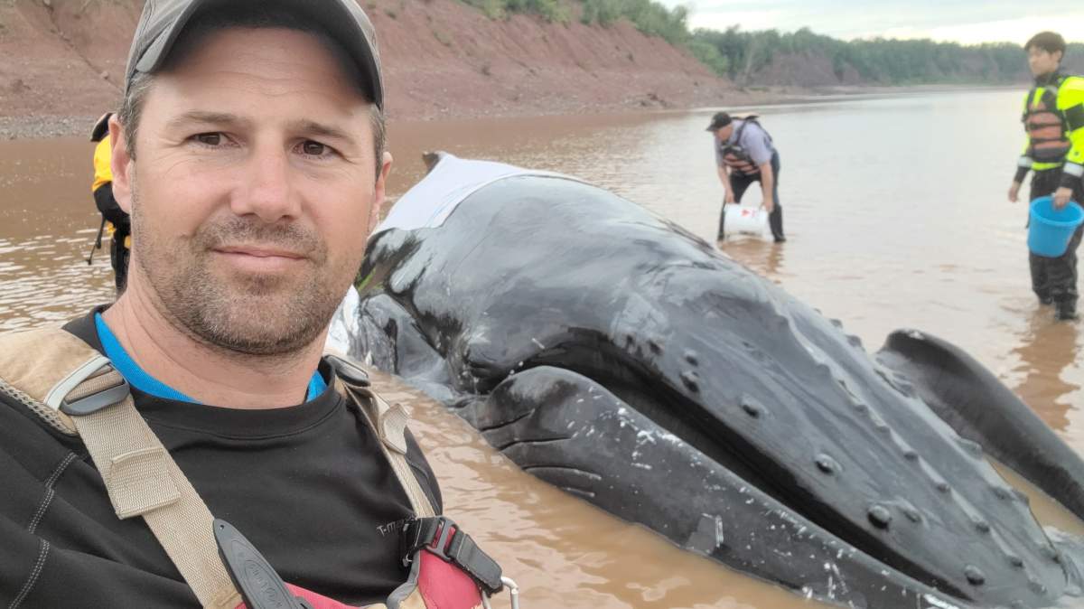 Morgan MacDonald said the humpback whale was alive and well when he first encountered it on Monday.