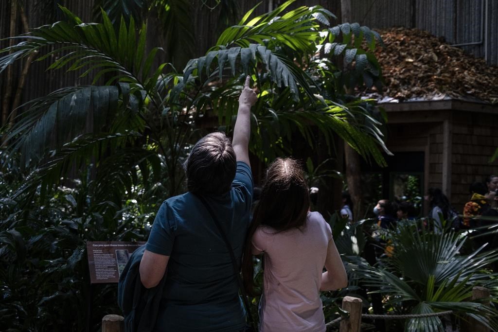 От извличане на ДНК до симулации на космически совалки до