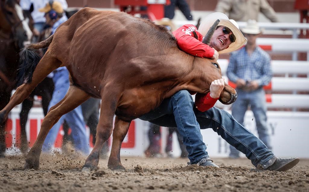 Calgary Stampede closes in on all time attendance record