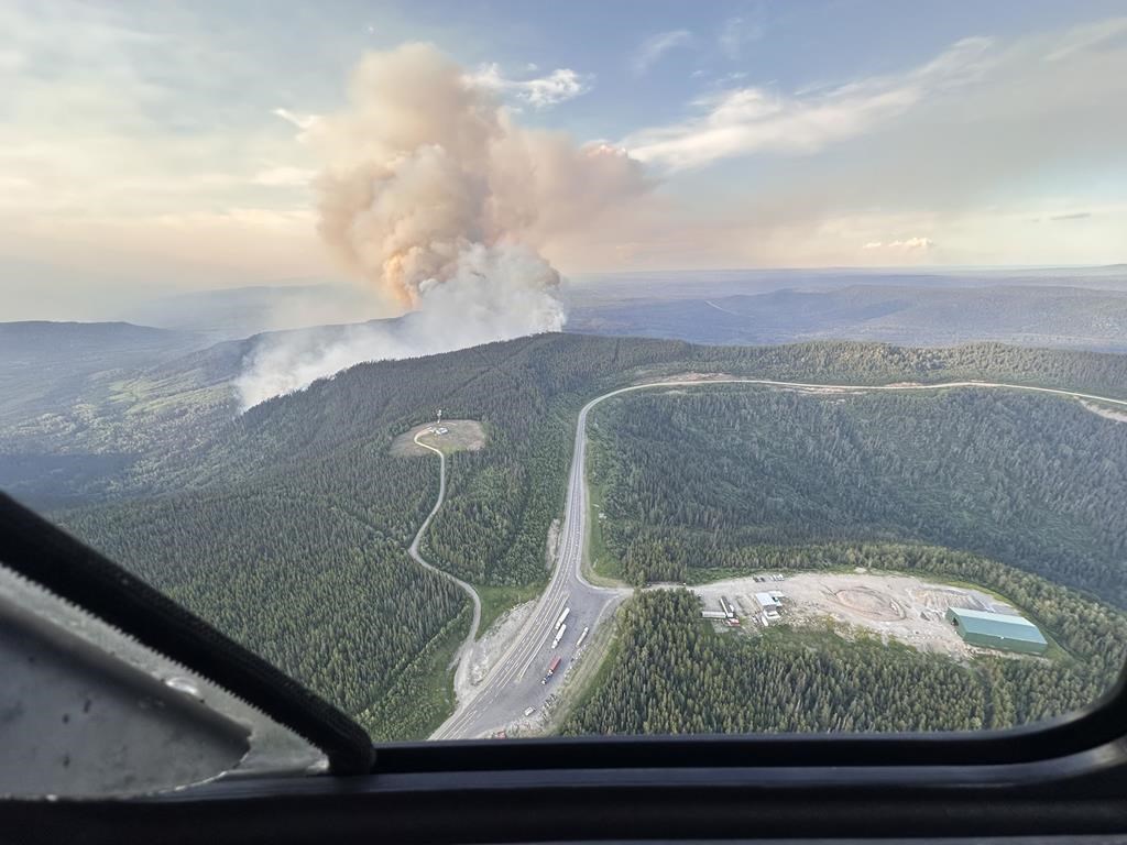 aerial view of wildfire