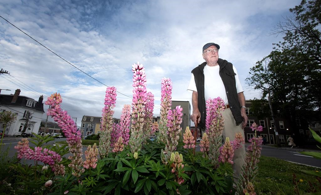 В центъра на Сейнт Джонс Н Л това лято шофьорите бяха