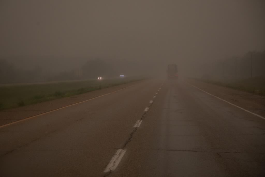 Тъй като горските пожари продължават да горят в цяла пр н е