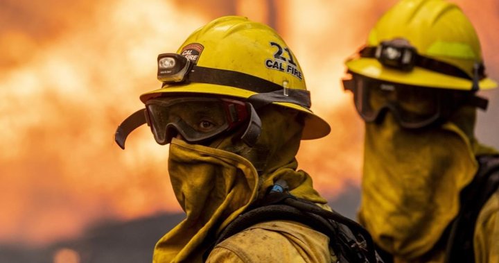 Хиляди пожарникари се бориха с горски пожар в Северна Калифорния