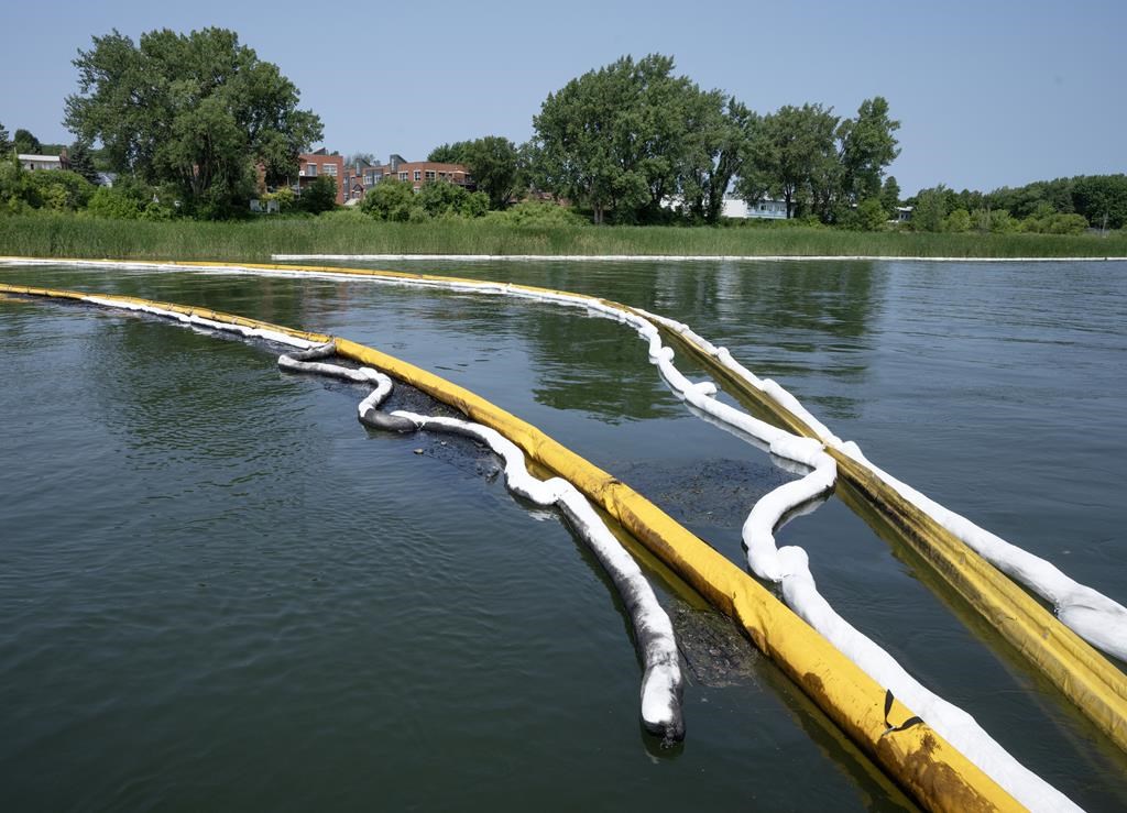 Buoys hold back oil in a body of water on a sunny day.