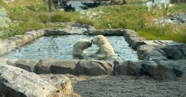 Учител от окръг Роки Вю беше един от многото които