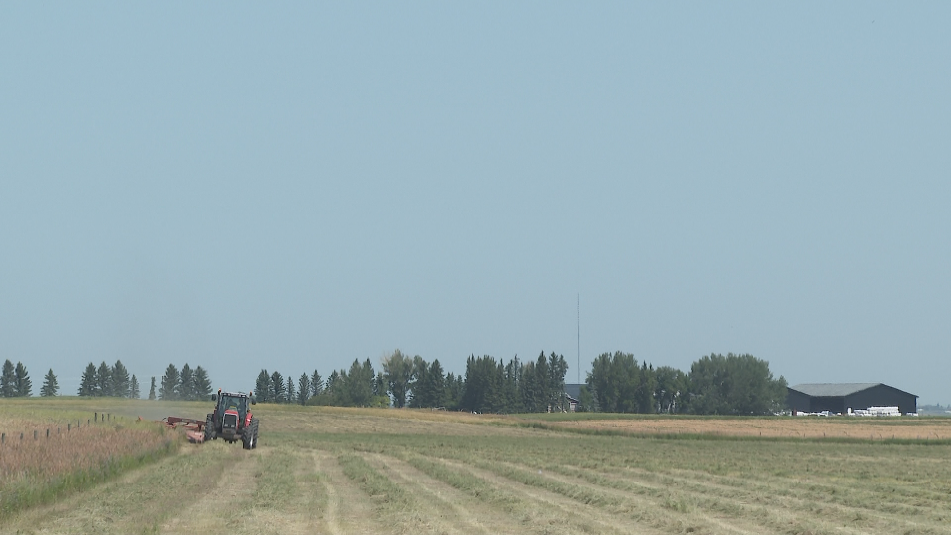 Groundbreaking crop treatment research underway in Lethbridge