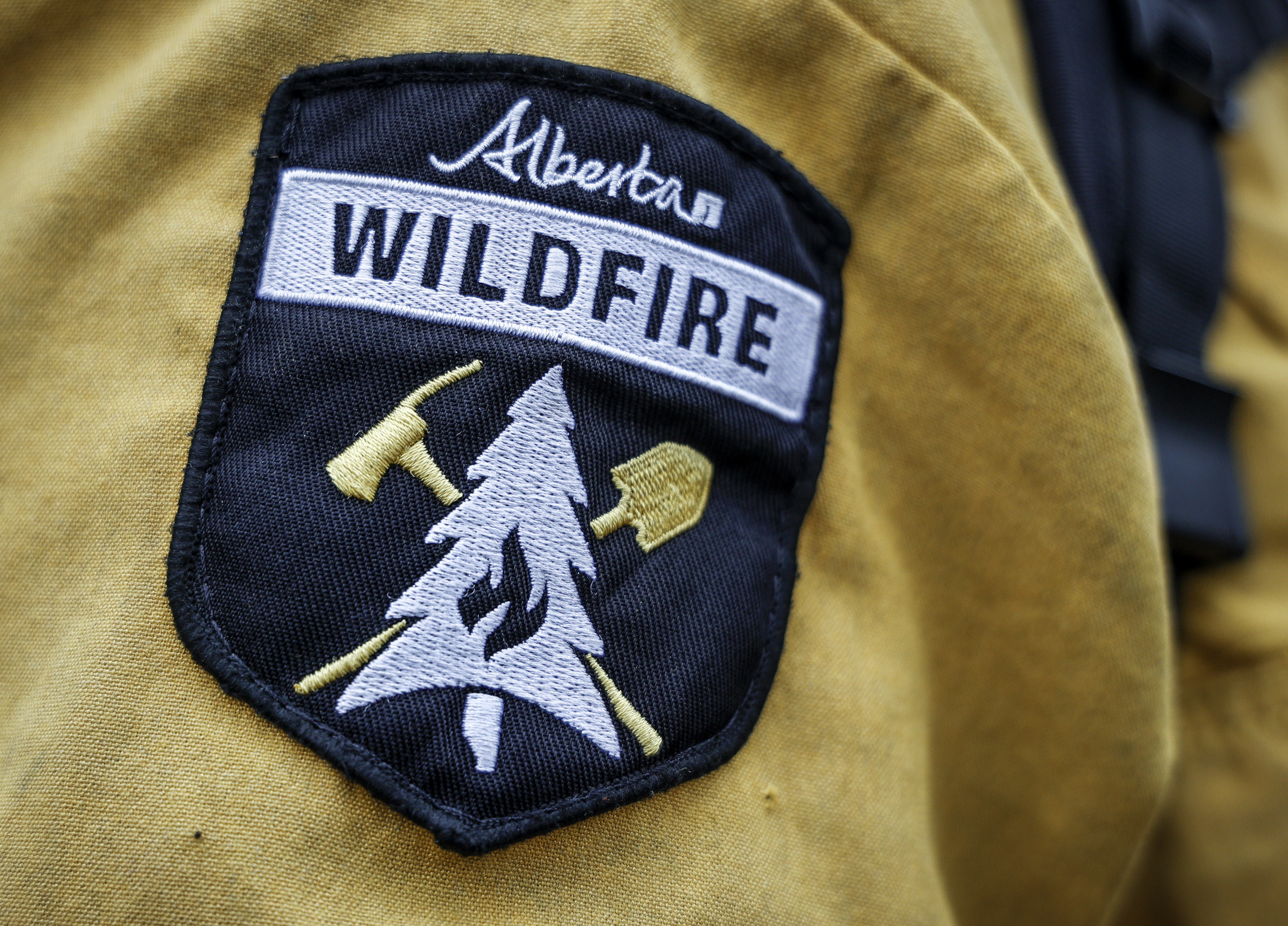 Jasper wildfire: How to navigate filing insurance claims