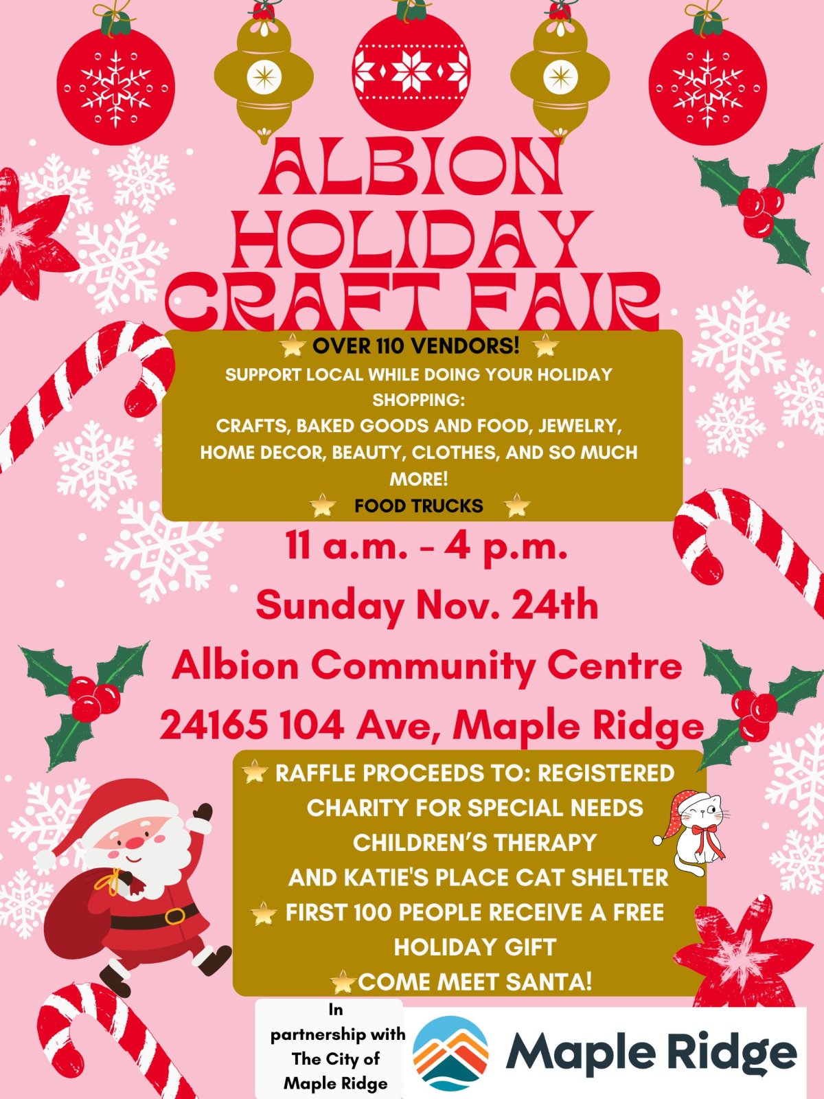 Albion Holiday Craft Fair - image