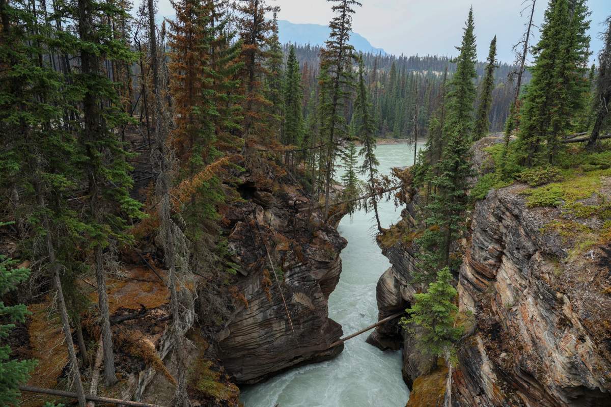 A photo of the Athabasca Falls viewpoint in Jasper National Park taken on July 29, 2024.