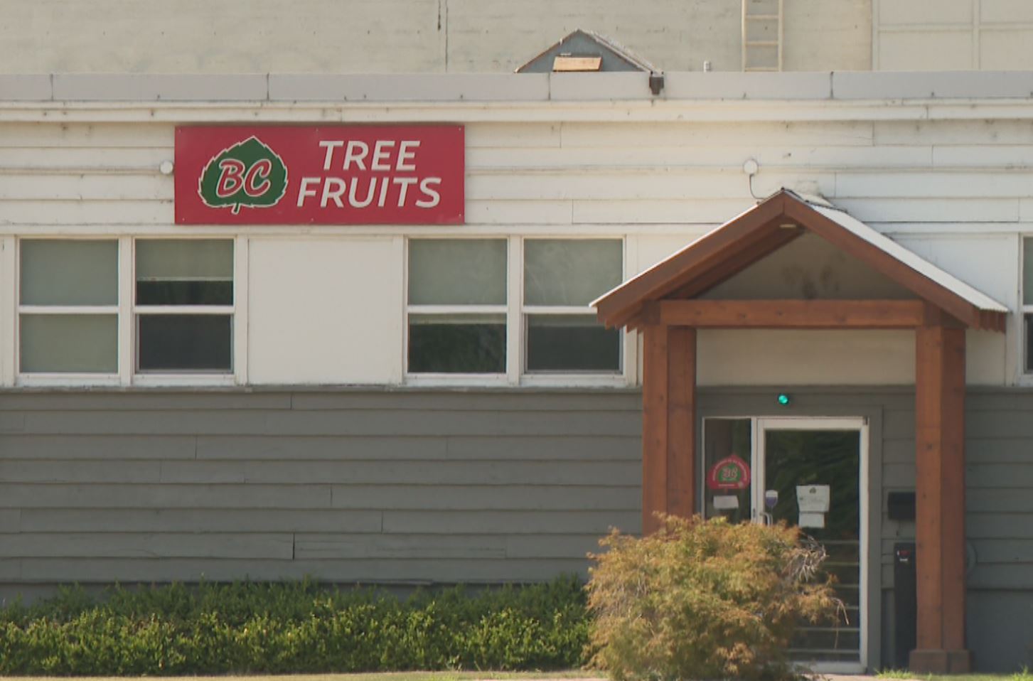 Questions aplenty from orchardists following sudden closure of BC Tree Fruits