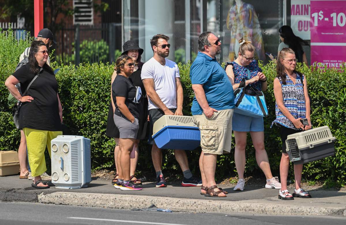People wait in line to adopt an animal during an SPCA no-fee adoption event in Montreal, Sunday, July 14, 2024.