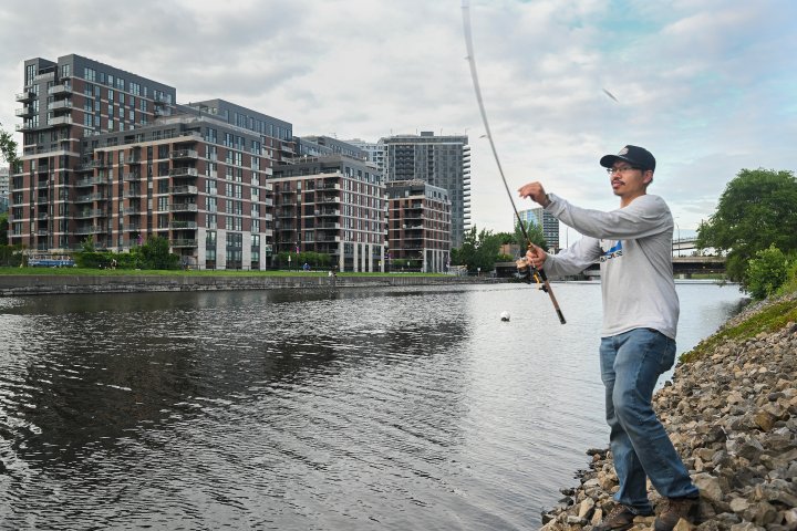 Urban fishers drawn to Montreal’s Lachine Canal despite industrial past