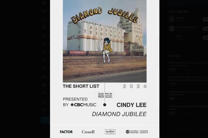 Cindy Lee's "Diamond Jubilee" is a sprawling, two-hour collection of 32 songs concocted as an alter ego of musician Patrick Flegel. The concept album stirs up the spirit of lo-fi AM pop-rock music of the 1970s with a hint of psychedelia.