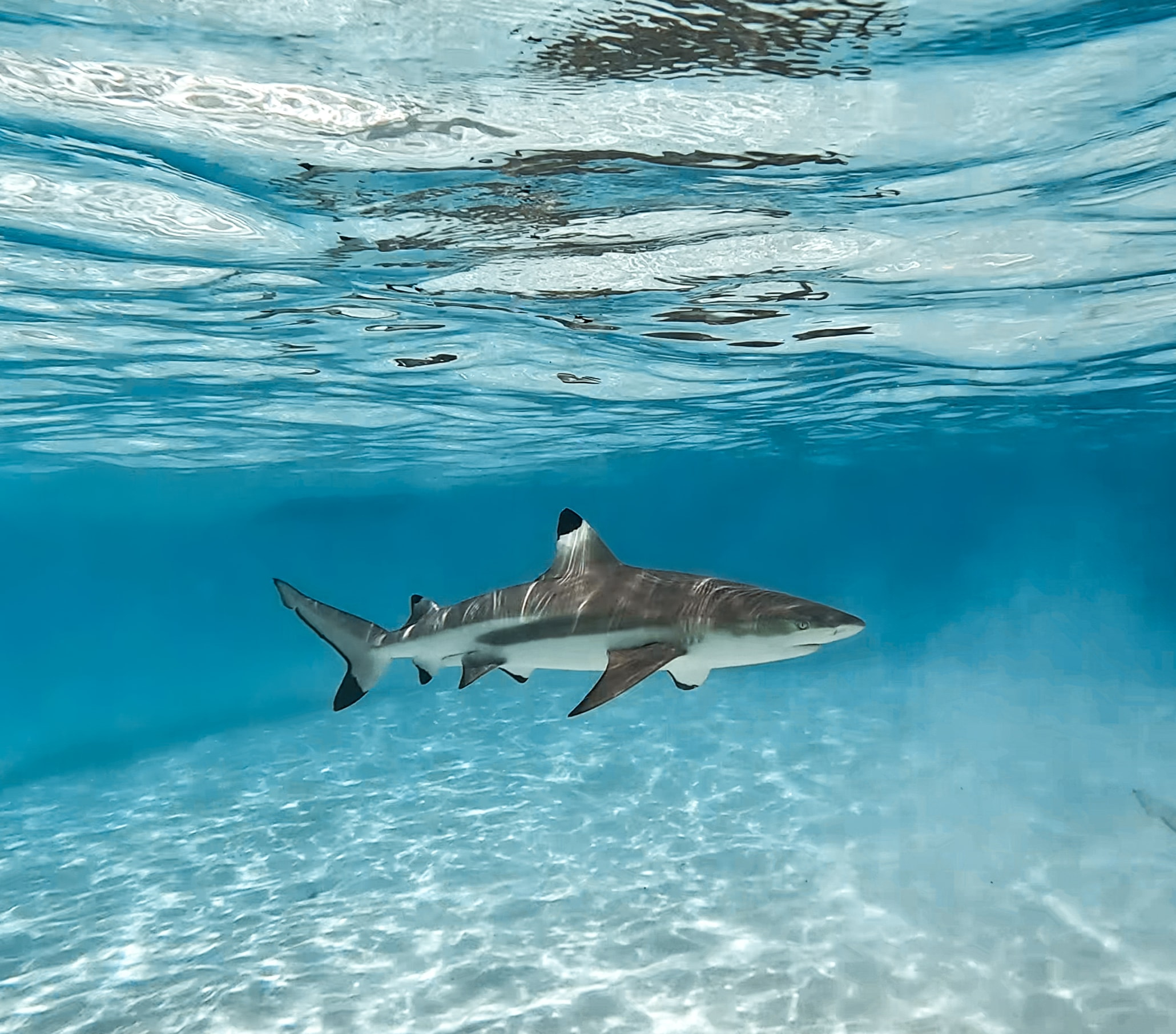 Тийнейджър във Флорида имаше ужасен късмет в понеделник когато се