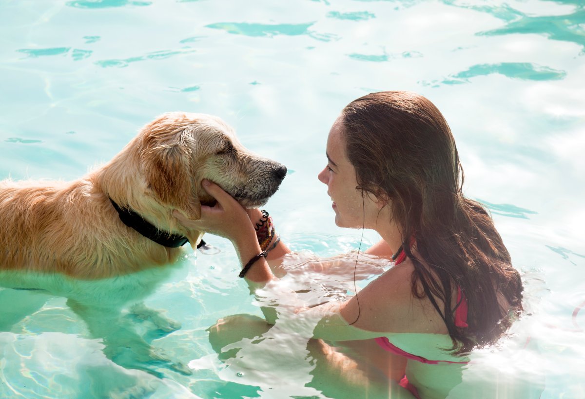 Dog swimming in pool with girl
