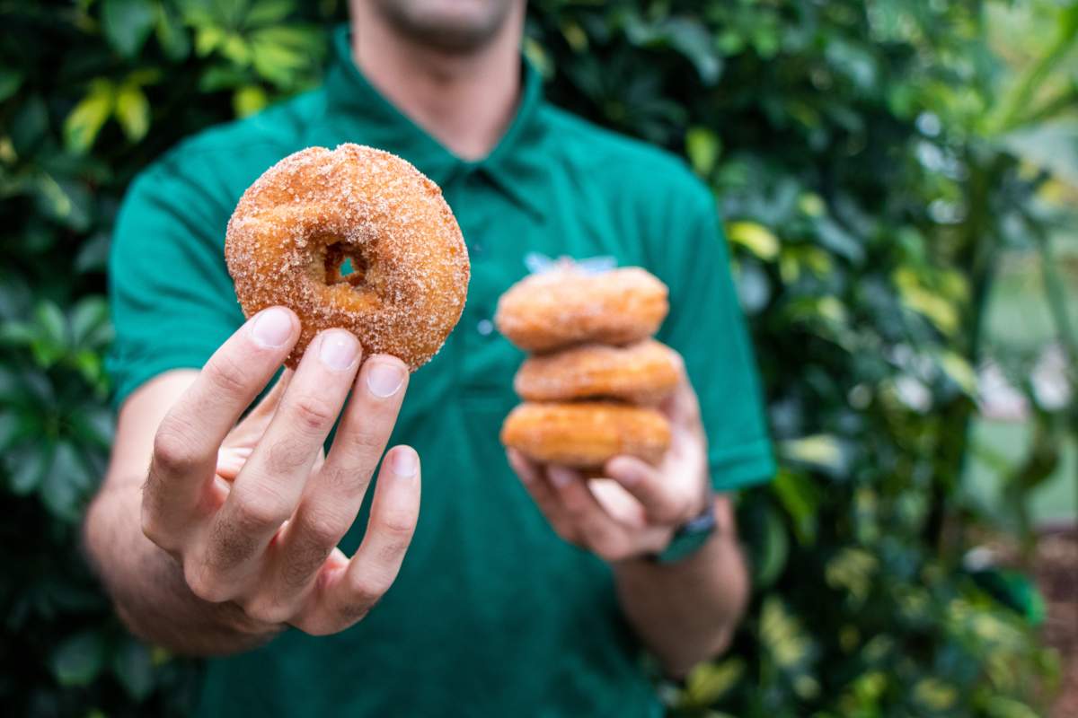 Donuts at Colasanti's Tropical Gardens.