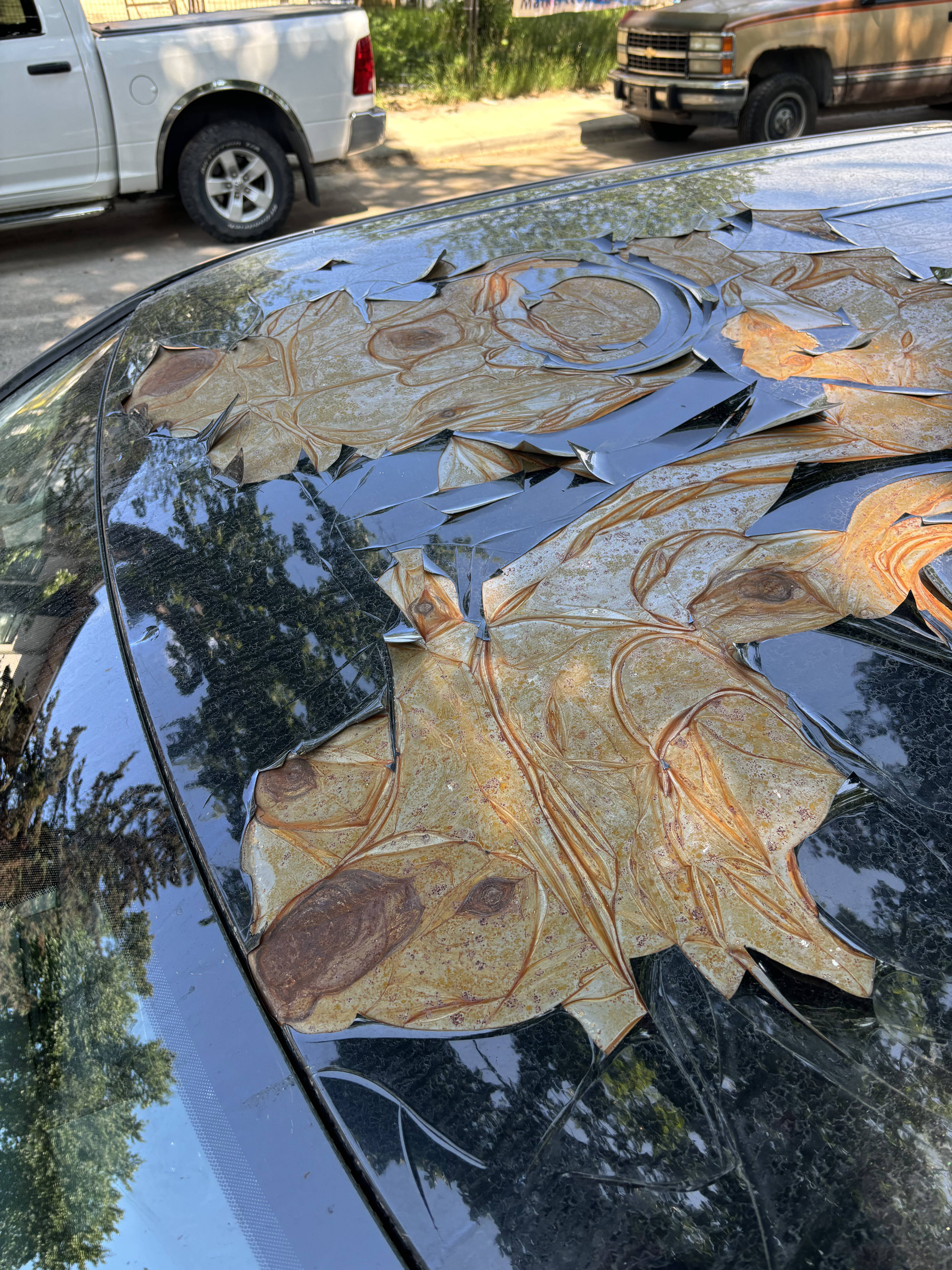 Мъж от Алберта поставя под съмнение популярен слоган за камиони