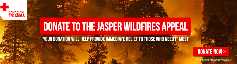 Jasper Wildfires Appeal - image