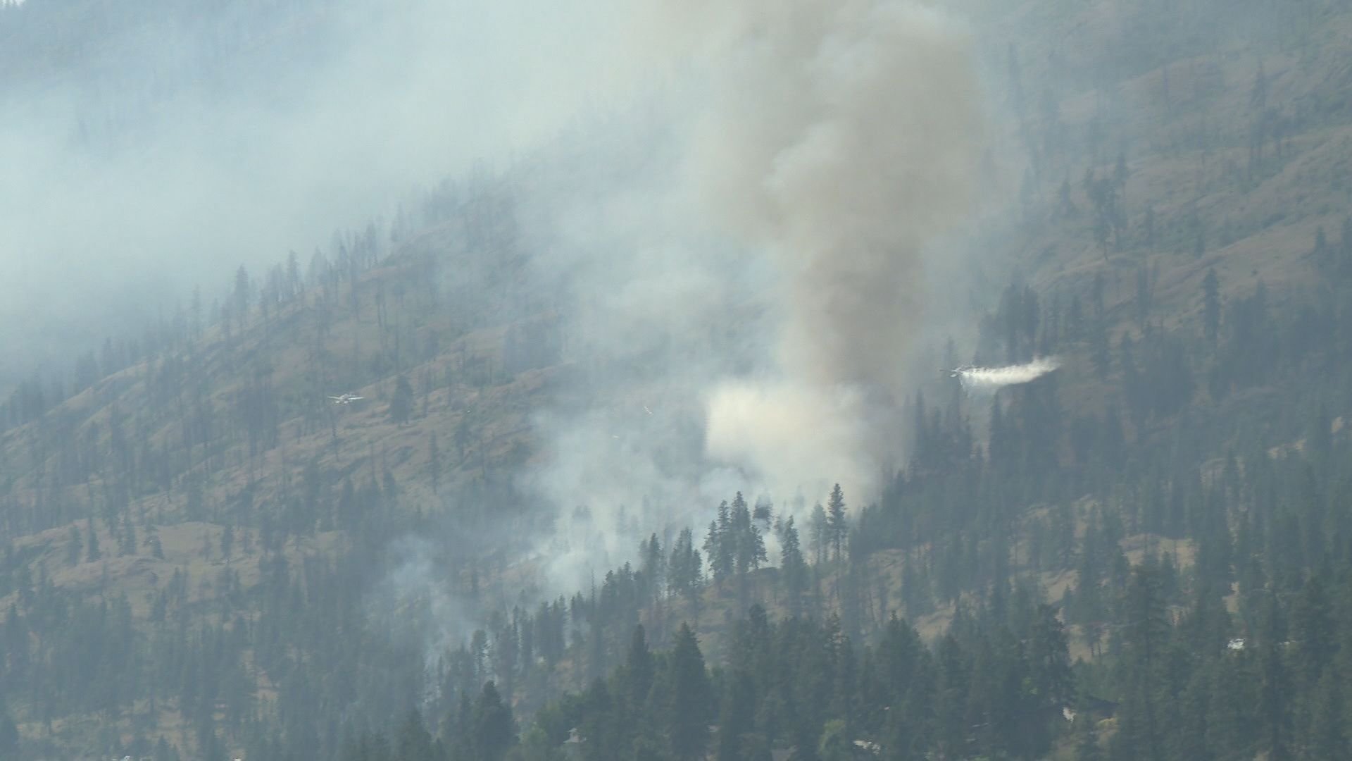 Според Службата за диви пожари на Британска Колумбия 87 процента