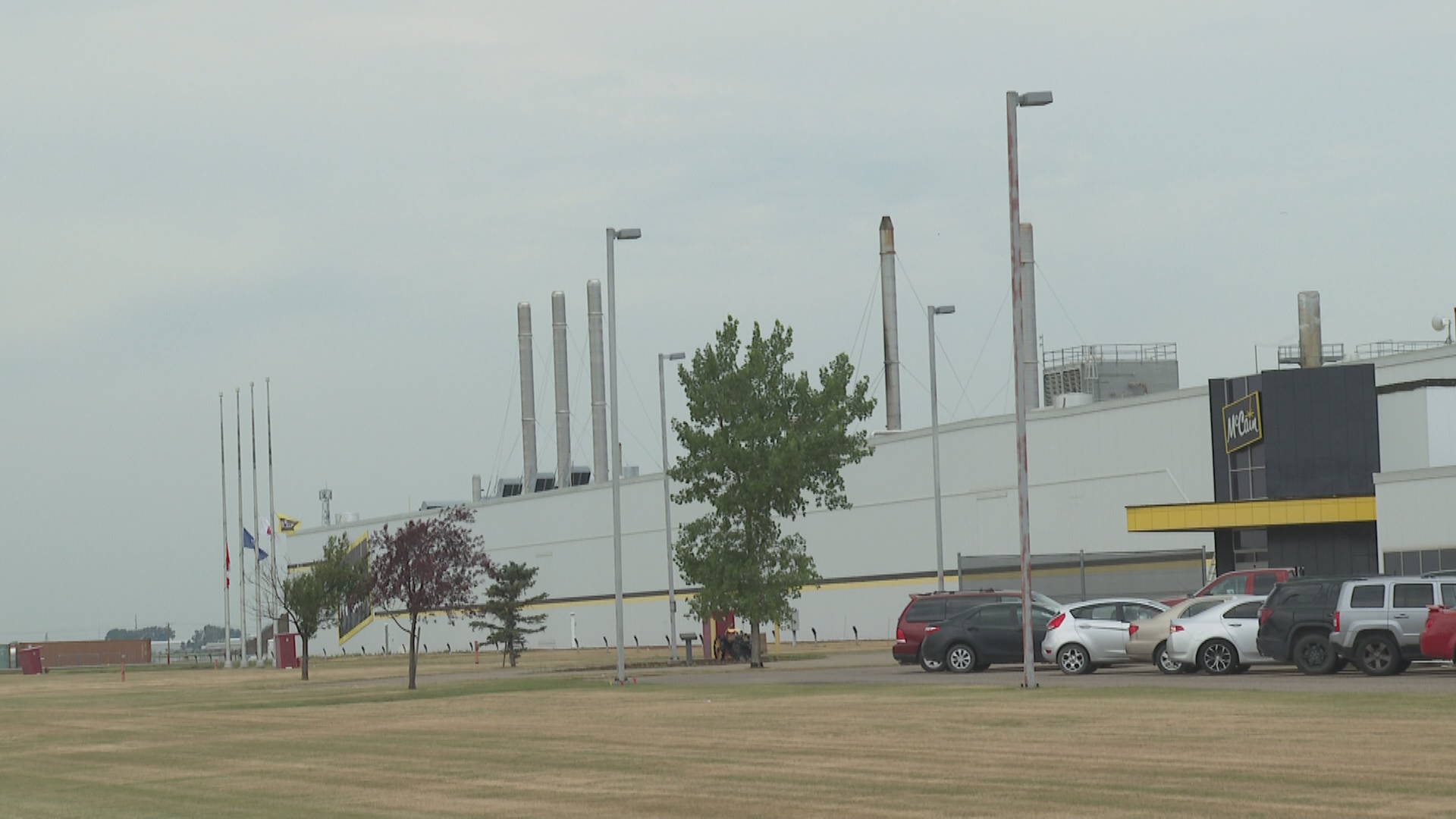 McCain plant workplace death under investigation in Coaldale