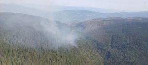 Lower Blueberry Creek blaze in Shuswap considered held: B.C. Wildfire