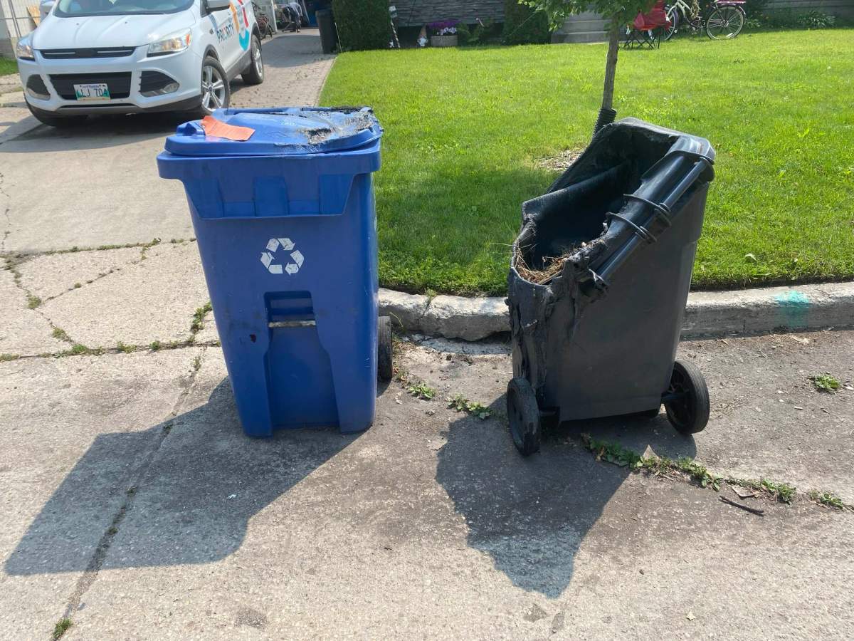 Damaged recycling and garbage bin