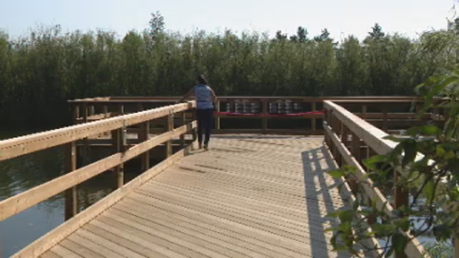 Saskatoon’s Forestry Farm and Park announces a new fully accessible pier to give families the opportunity to examine the prairie marsh.