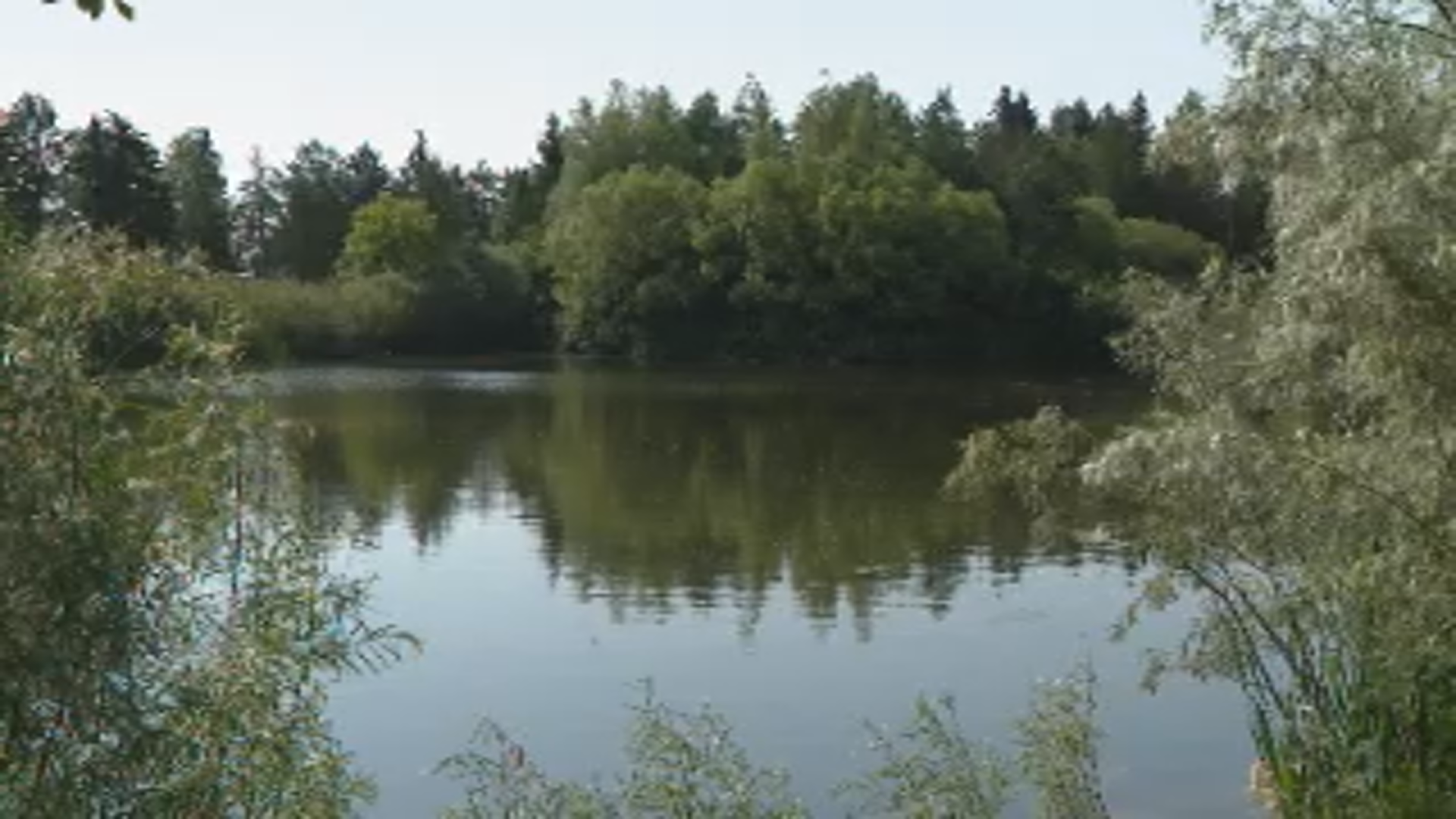 Saskatoon’s Forestry Farm and Park announces a new fully accessible pier to give families the opportunity to examine the prairie marsh.