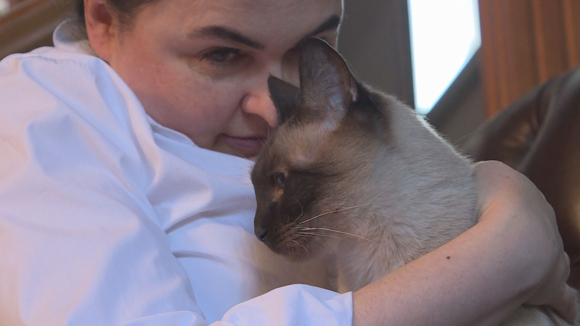 Собственичка на котка от Калгари изразява загриженост относно грижите които