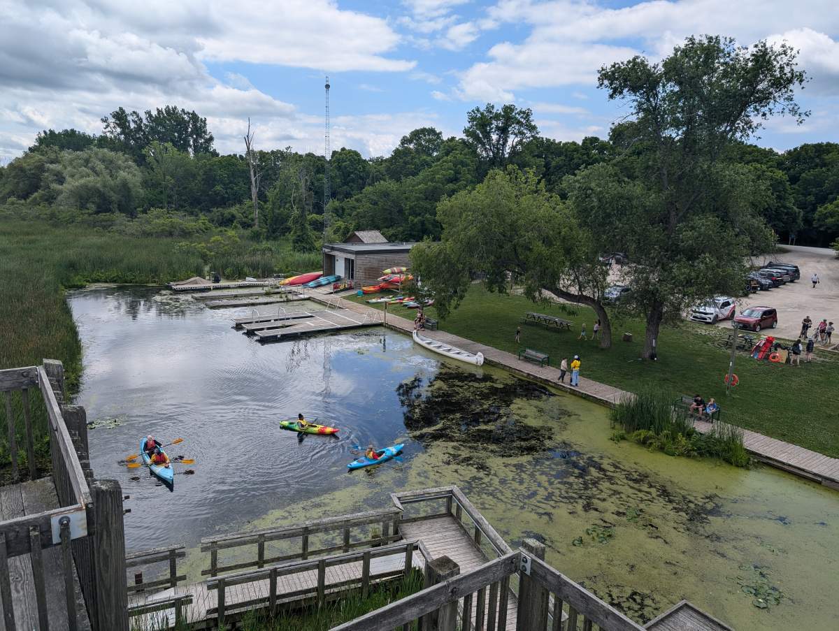The marsh at Point Pelee.