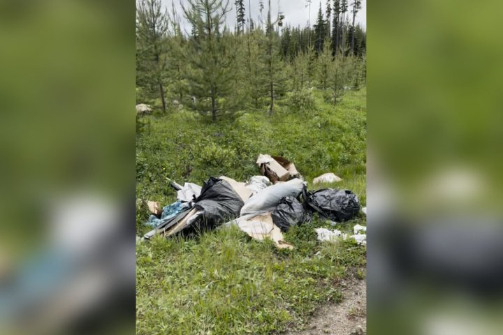 Peachland resident discovers backcountry dumpsite on Canada Day long weekend