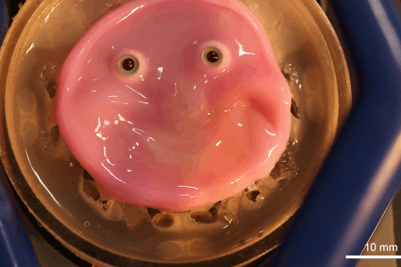 A GIF shows a 2D pink face moving into a smile.