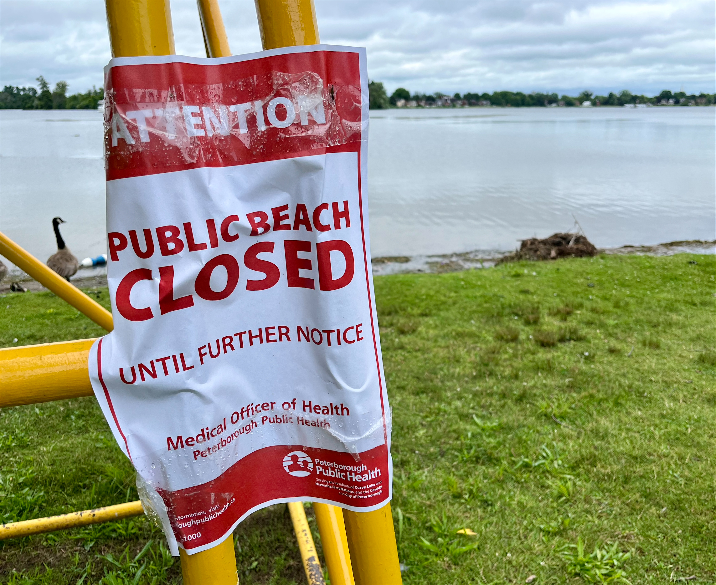 Един от двата плажа на Малкото езеро в Питърбъро Онтарио